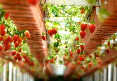 포전 농촌체험 휴향마을 외부 전경