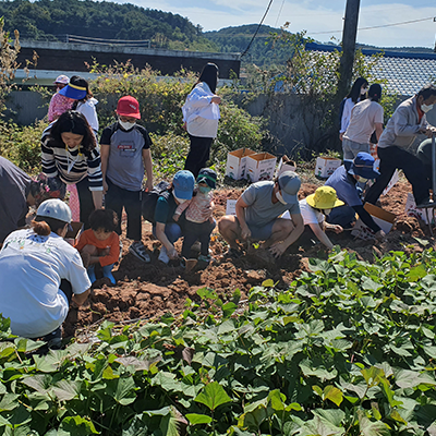 포전 농촌체험 휴향마을